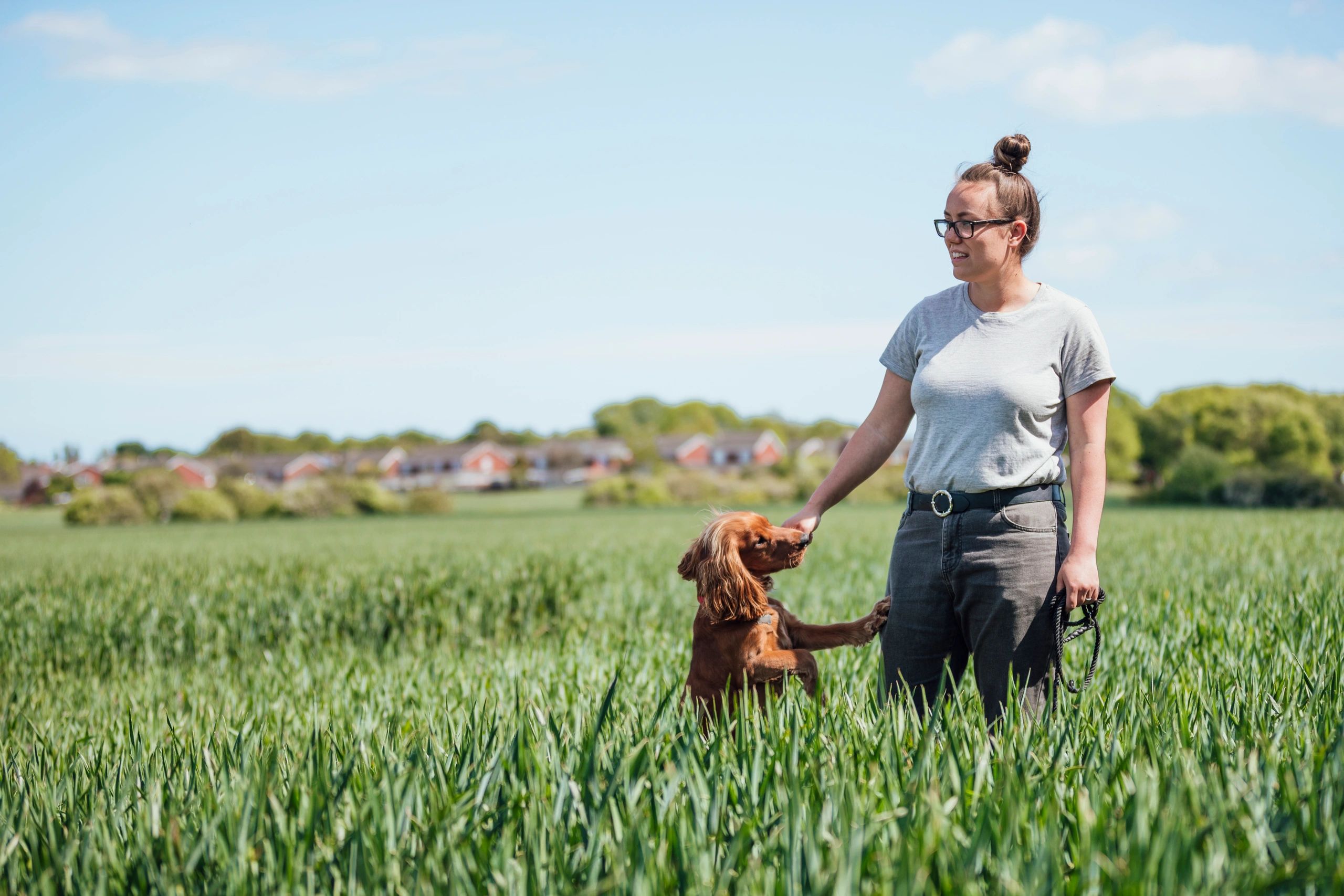 Dog owner rewarding a spaniel during training