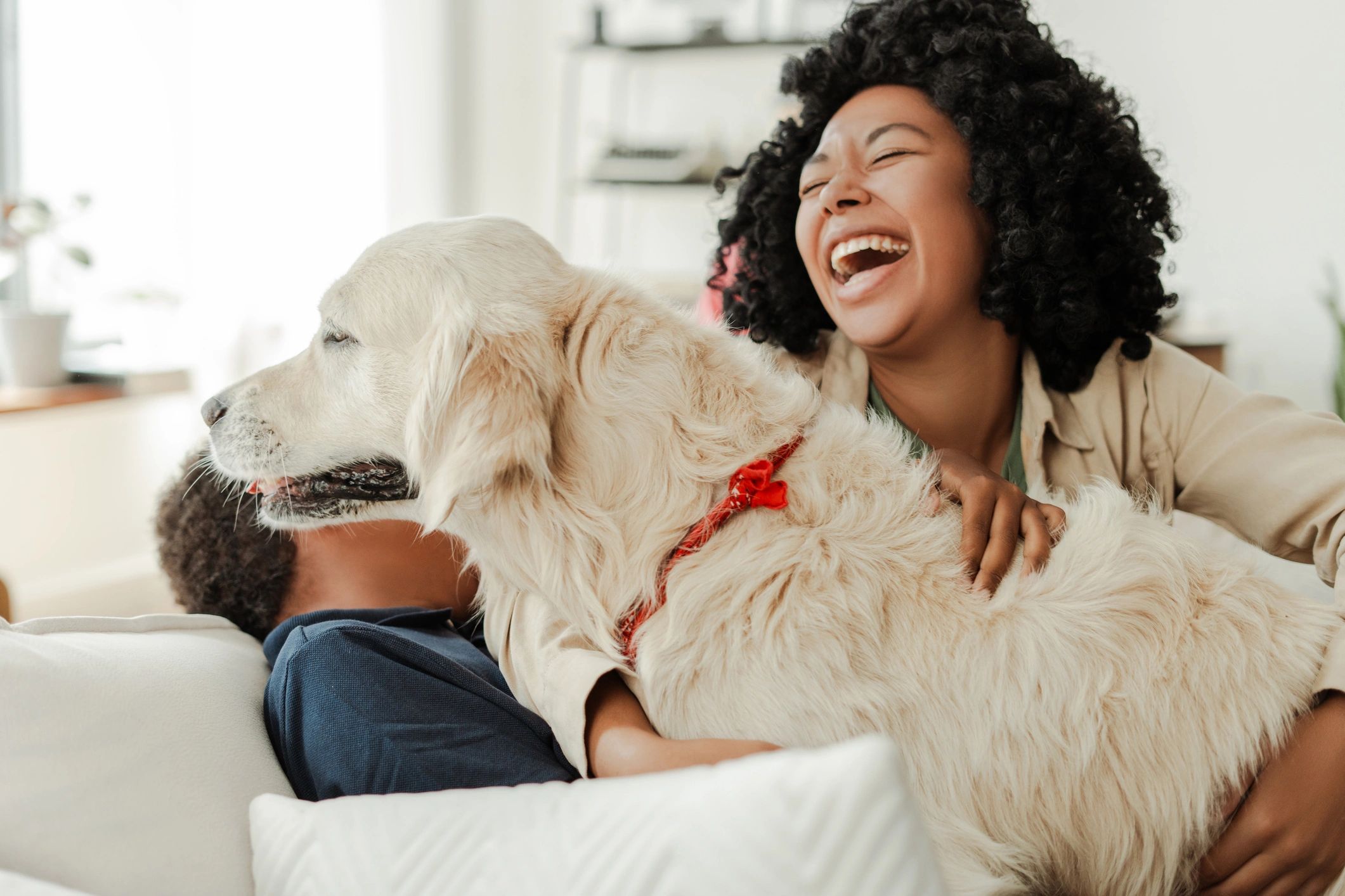 Happy family with their dog at home