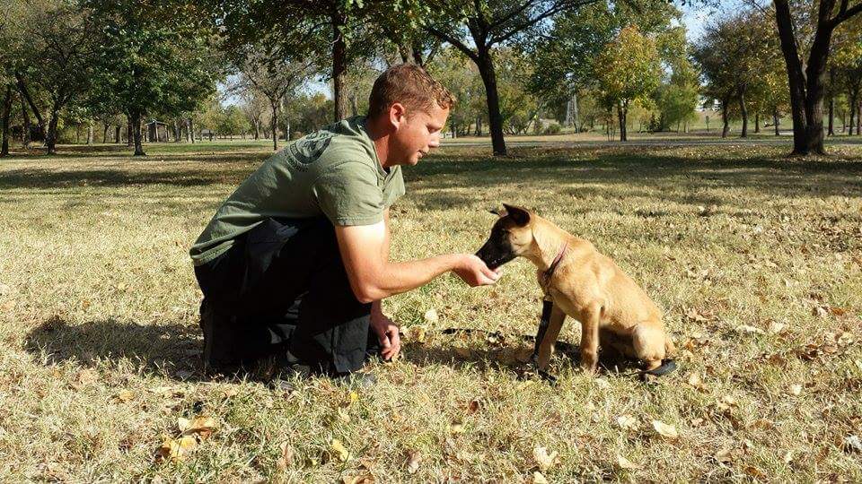 Dog Trainer Wichita, KS
